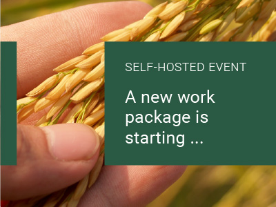 Read more about the article A new work package is starting …